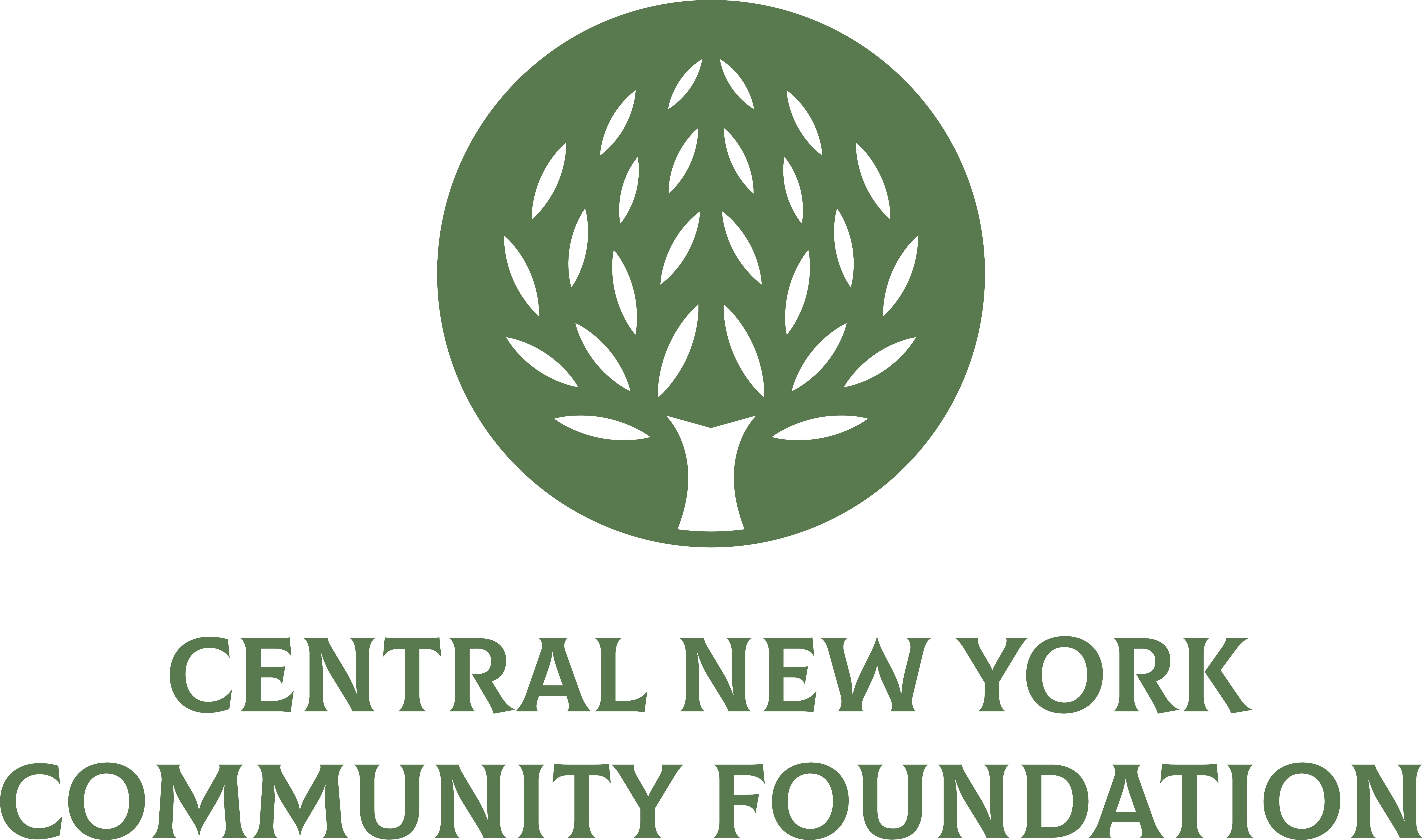 Central New York Community Foundation, Inc.