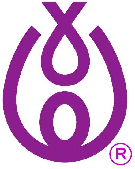 THE JUDITH A. LESE BREAST CANCER FOUNDATION, INC