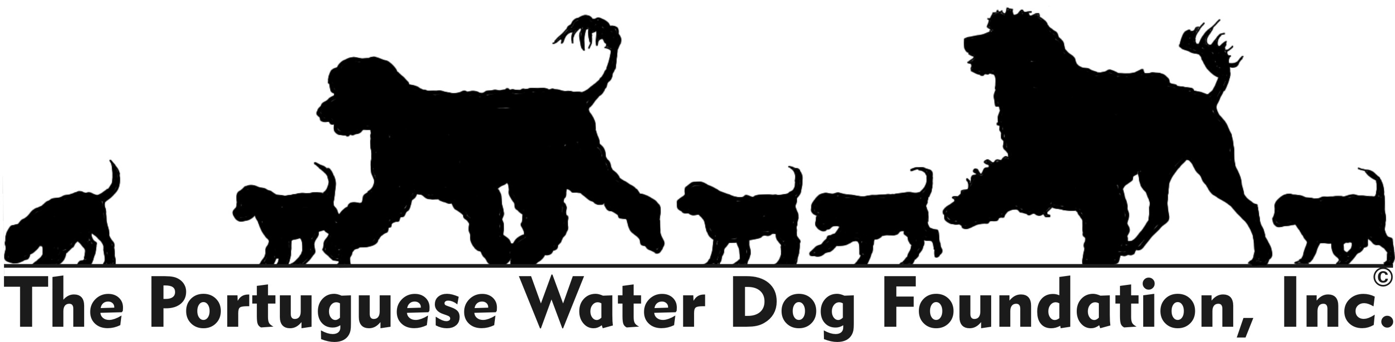 Portuguese Water Dog Foundation, Inc.
