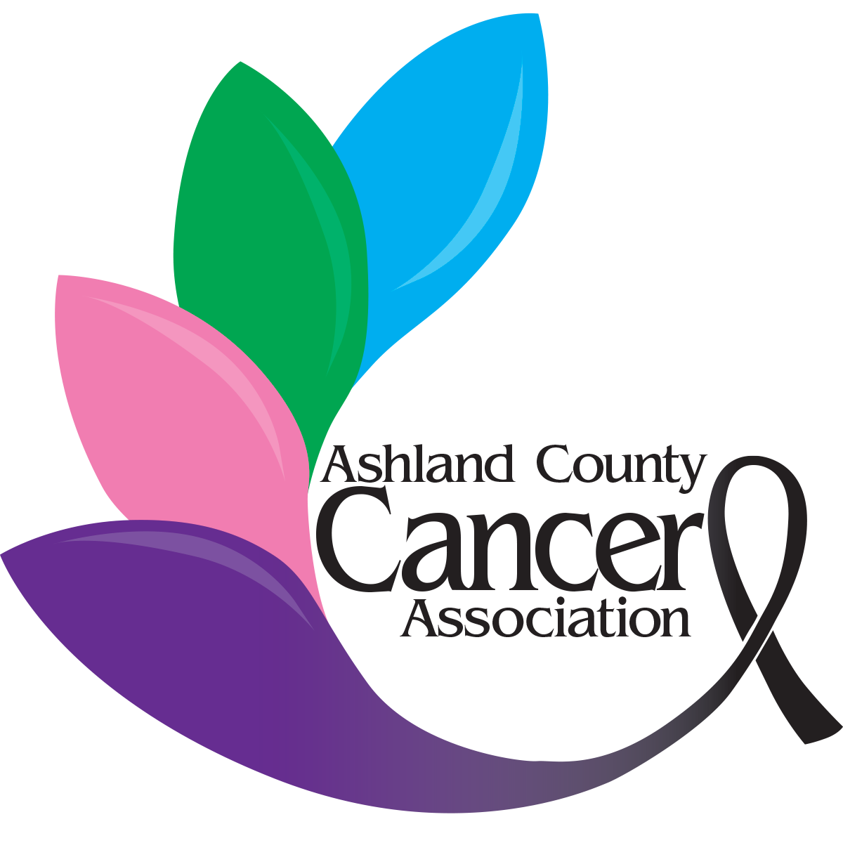 Ashland County Cancer Association Inc