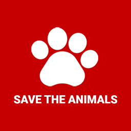Save the Animals