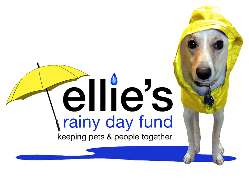 ELLIES RAINY DAY FUND INC