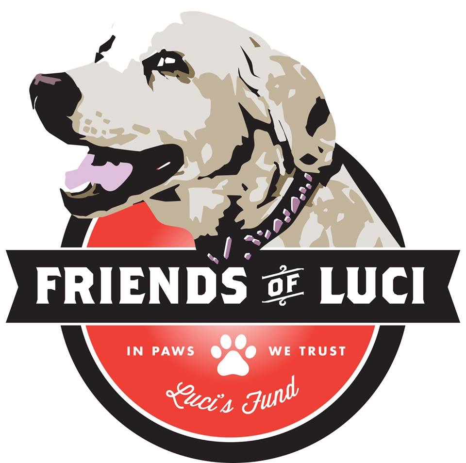 Lucis Fund Inc