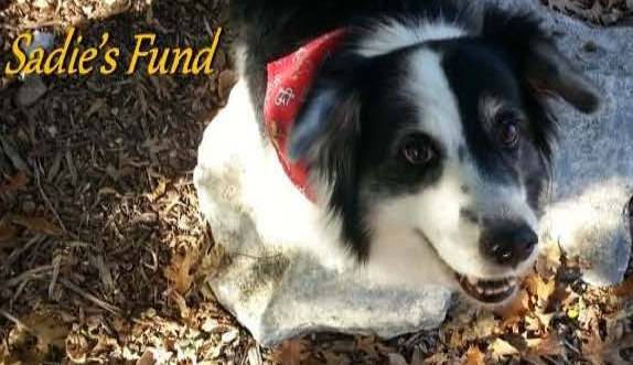 SADIES FUND