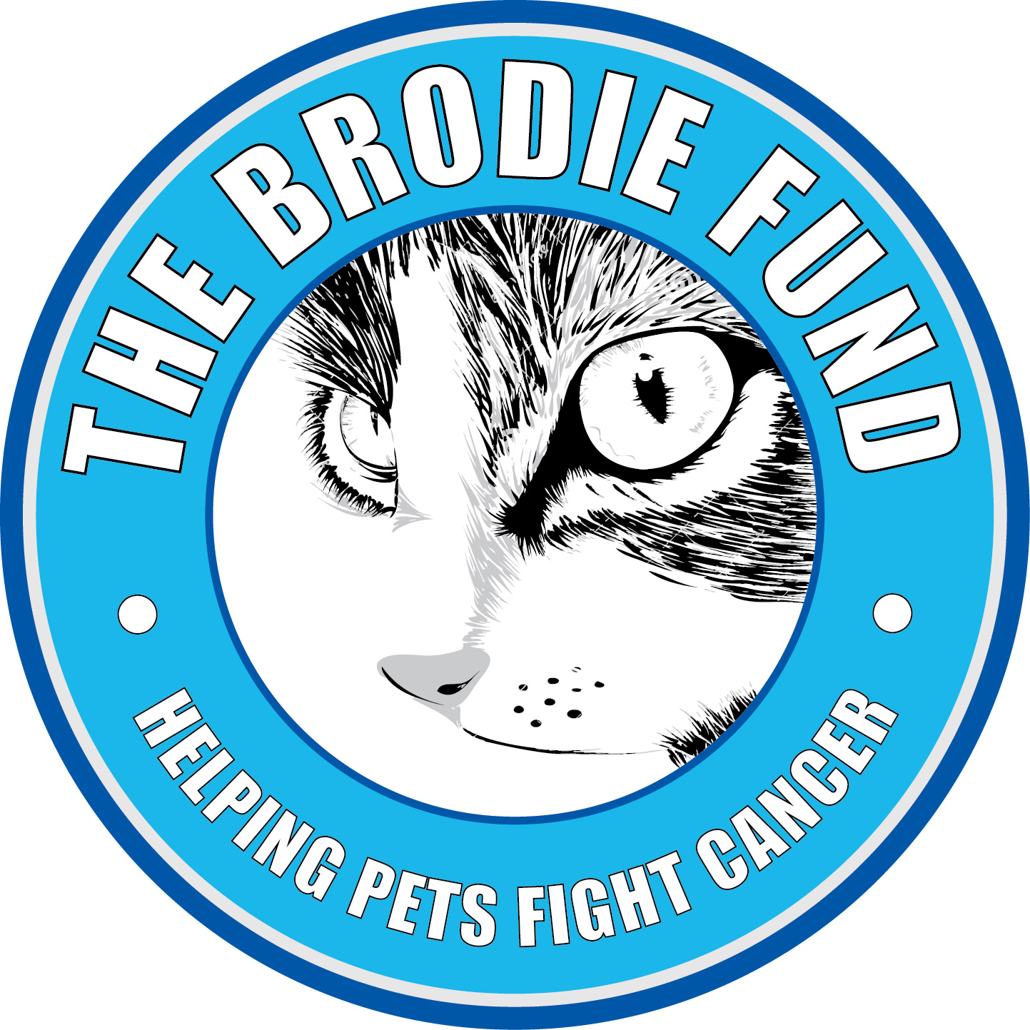 BRODIE FUND INC