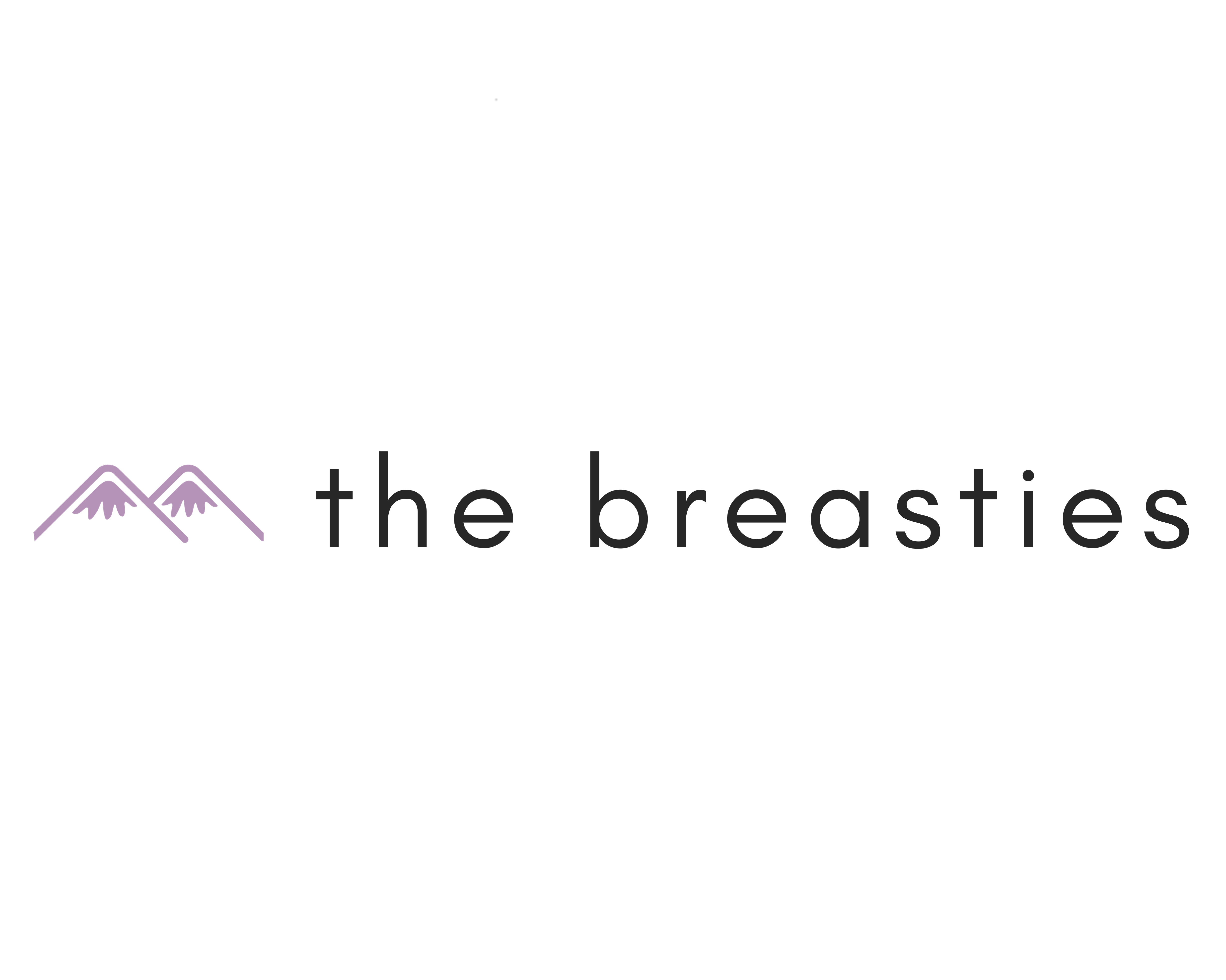 BREASTIES INC